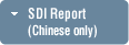 SDI Report (Chinese only)